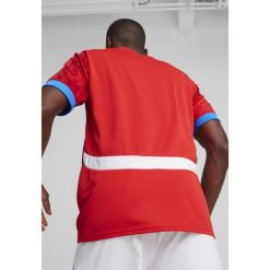 Męska koszulka domowa reprezentacji Czech w piłce nożnej 2024 PUMA. Czerwone t-shirty sportowe męskie Puma, m, bez ramiączek, do piłki nożnej. W wyprzedaży za 359.00 zł.