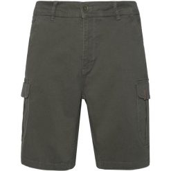 Spodenki cargo Protest Prtnytro. Zielone szorty męskie Protest, na lato, bez wzorów. Za 283.00 zł.