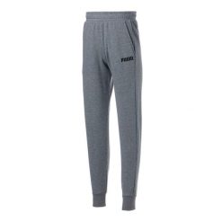 Puma Spodnie Ess 84723402. Szare spodnie materiałowe męskie Puma, bez wzorów, wizytowe. Za 134.99 zł.
