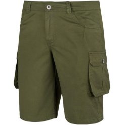 Męskie Spodenki Hekla. Zielone szorty męskie Alpinus, bez kołnierzyka. Za 239.99 zł.