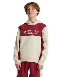 Bluza z kapturem dla Chłopcy KNOWLEDGE AREA Beżowy. Brązowe bluzy z kapturem męskie Quiksilver, m, z bawełny. Za 95.00 zł.