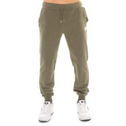 Bluza miękki z kieszeń na siłownia na czas wolny. Zielone bluzy sportowe męskie LEONE 1947 APPAREL, bez wzorów, z bawełny, sportowe, bez kołnierzyka, bez ramiączek. W wyprzedaży za 89.72 zł.