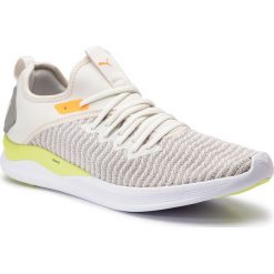 Buty PUMA - Ignite Flash Daylight 192512 01 Vaporous Gray/Drizzle/Yellow. Szare buty fitness męskie Puma. W wyprzedaży za 219.99 zł.