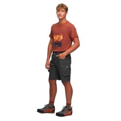 Męskie Spodenki Askja. Szare szorty męskie Alpinus, z bawełny, bez kołnierzyka. Za 299.99 zł.