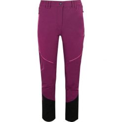 Spodnie damskie Athl. Dpt Katana Ciemnofioletowa. Fioletowe spodnie dresowe damskie GALEO, na lato, bez wzorów, z elastanu. Za 302.99 zł.