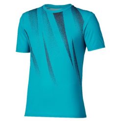 Koszulka Mizuno Core Graphic. Niebieskie t-shirty sportowe męskie Mizuno, l, z materiału, bez ramiączek, do biegania. Za 119.99 zł.