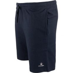 Szorty męskie Nunzio ATHL DPT z bawełny - Navy. Niebieskie szorty męskie ZFOAM, z bawełny, bez kołnierzyka. Za 158.99 zł.