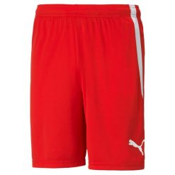 Spodenki piłkarskie męskie PUMA Teamliga. Białe szorty męskie Puma, bez kołnierzyka. Za 78.00 zł.