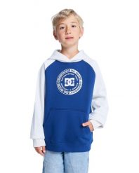 Bluza z kapturem dla Chłopcy DC CORPO Niebieski. Niebieskie bluzy z kapturem męskie DC Shoes, m, z bawełny. Za 219.99 zł.
