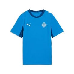 Młodzieżowa koszulka domowa reprezentacji Islandii 2026 PUMA. Niebieskia bluzki damskie Puma, l, bez wzorów, młodzieżowe, bez kołnierzyka, bez ramiączek. Za 339.00 zł.