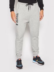 Alpha Industries Spodnie dresowe Basic 116368 Szary Regular Fit. Szare spodnie dresowe męskie Alpha Industries, bez wzorów, z bawełny. Za 189.99 zł.