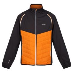 Kurtka Męska Steren Hybrid Soft Shell. Brązowe kurtki męskie Regatta, m, bez wzorów, z softshellu, sportowe, bez kaptura. Za 135.99 zł.