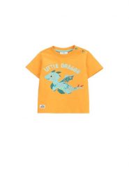 Coccodrillo T-Shirt WC5143202DBN Pomarańczowy Regular Fit. Brązowe t-shirty chłopięce COCCODRILLO, bez wzorów, z bawełny, bez ramiączek. Za 29.99 zł.