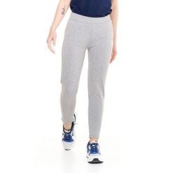Proste spodnie damskie z zakładkami, z polaru treningowego. Szare spodnie dresowe damskie LEONE 1947 APPAREL, l, bez wzorów, z polaru. W wyprzedaży za 139.75 zł.