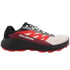 Buty do biegania męskie Salomon Alphaglide Gtx. Obuwie do biegania damskie Salomon. Za 499.99 zł.