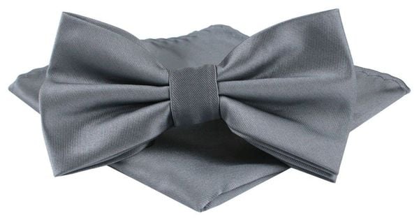 Mucha Męska w Zestawie z Poszetką - Alties - Popielata. Szare krawaty i muchy męskie Alties, bez wzorów, eleganckie. Za 65.00 zł.