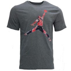 Koszulka sportowa męska Air Jordan Brand Graphic T-shirt. Szare t-shirty męskie Jordan, m, bez wzorów, bez kołnierzyka. Za 139.00 zł.