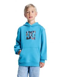 Bluza z kapturem dla Chłopcy DC STAR FILLED Niebieski. Niebieskie bluzy z kapturem męskie DC Shoes, m, z bawełny. Za 219.99 zł.