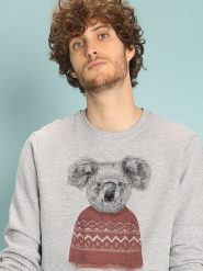 WOOOP Bluza "Winter Koala" w kolorze szarym rozmiar: XL. Szare bluzy bez kaptura męskie Wooop, xl, z bawełny. Za 100.99 zł.