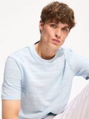 T-shirt regular w paski - jasnoniebieski. Niebieskie t-shirty męskie Reserved, l, bez wzorów, z bawełny, bez kołnierzyka. Za 69.99 zł.