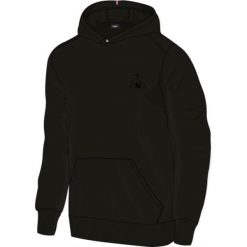 Bluza z kapturem w tonacji Le Coq Sportif Essentiel N°1. Czarne bluzy z kapturem męskie Le Coq Sportif, m, z bawełny. Za 506.00 zł.