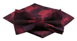 Mucha Męska z Poszetką Alties - Ciemna Czerwień. Czerwone krawaty i muchy męskie Alties, bez wzorów, eleganckie. Za 54.00 zł.