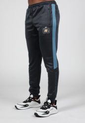 Devon Training Spodnie - Szary/Niebieski. Niebieskie spodnie sportowe męskie GORILLA WEAR, z poliesteru. Za 224.00 zł.