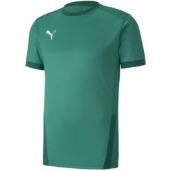 Koszulka do piłki nożnej męska Puma teamGOAL 23 Jersey. Zielone t-shirty sportowe męskie Puma, m, z jersey, bez ramiączek, do piłki nożnej. Za 153.00 zł.