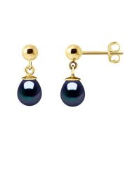 Pearl Addict Złote kolczyki-wkrętki z perłami rozmiar: onesize. Niebieskie kolczyki damskie Pearl Addict, z perłą, złote. Za 443.38 zł.
