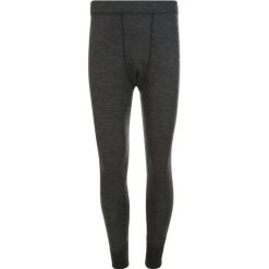 Legginsy Whistler Bradley. Szare bielizna termoaktywna męska WHISTLER, l, bez wzorów, z materiału. Za 244.50 zł.