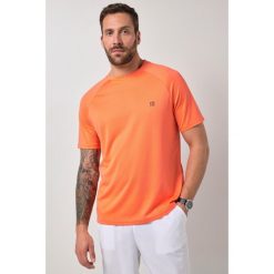 Męski T-shirt FLEXNAMIC® fitness rękaw 1/2 nadruk z tyłu QuickDry. Brązowe t-shirty męskie JAY-PI, m, bez wzorów, z materiału, bez kołnierzyka. Za 139.99 zł.
