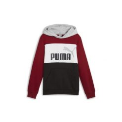 Puma Bluza Ess Block Fl 67971713. Czerwone bluzy sportowe damskie Puma, bez wzorów, bez ramiączek, bez kaptura. Za 109.00 zł.