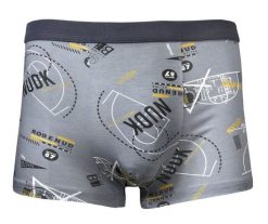 Bokserki Obcisłe, Szare z Nadrukiem, Koszykówka, Bawełniane, Majtki z Elastanem -ALTIES. Szare bokserki męskie Alties, bez wzorów, z bawełny. Za 35.00 zł.
