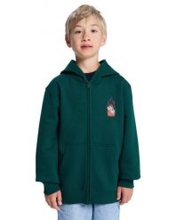 Bluza na zamek dla Chłopcy BURNING DICE Zielony. Zielone bluzy z kapturem męskie DC Shoes, m, z bawełny. Za 239.99 zł.