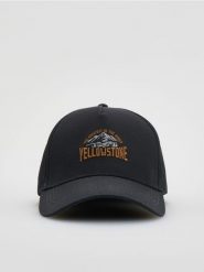 Czapka baseball z haftem - ciemnoszary. Szare czapki męskie Reserved, bez wzorów. W wyprzedaży za 32.99 zł.