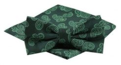 Mucha Męska z Poszetką Alties - Zielona ze Wzorem Paisley. Zielone krawaty i muchy męskie Alties, bez wzorów, eleganckie. Za 54.00 zł.