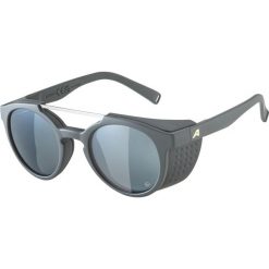 Okulary przeciwsłoneczne Alpina Glace P. Czarne okulary przeciwsłoneczne męskie Alpina. Za 303.00 zł.
