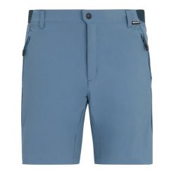 Męskie Szorty Górskie. Niebieskie szorty męskie Regatta, bez wzorów, z elastanu. Za 214.99 zł.