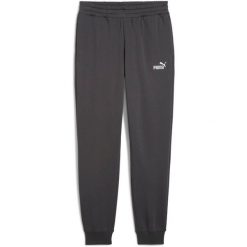 Spodnie Puma Ess No. 1 Logo Sweatpants Fl Cl S, Dla obu płci. Szare spodnie dresowe damskie Puma, s, z bawełny, na fitness i siłownię. Za 290.00 zł.