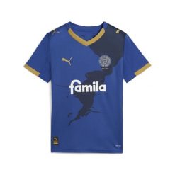 Młodzieżowa koszulka domowa Holstein Kiel 25/26 PUMA Clyde Royal Gold Blue. Niebieskia bluzki damskie Puma, m, bez wzorów, młodzieżowe, bez kołnierzyka, bez ramiączek. Za 329.00 zł.