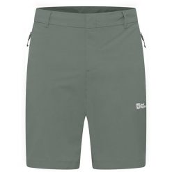 Spodenki trekkingowe męskie Jack Wolfskin Hikeout. Zielone szorty męskie Jack Wolfskin, bez wzorów, sportowe. Za 269.99 zł.