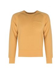 Champion Bluza | D918X6 | Mężczyzna | Żółty. Żółte bluzy bez kaptura męskie CHAMPION, m, z bawełny. W wyprzedaży za 159.00 zł.