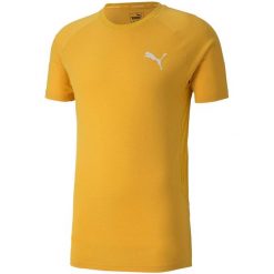 Koszulka piłkarska męska Puma Evostripe Lite Tee. Żółte t-shirty sportowe męskie Puma, m, bez ramiączek, do piłki nożnej. Za 43.90 zł.