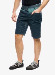 Spodenki wspinaczkowe męskie Ortovox Casale Shorts. Szare szorty męskie ORTOVOX, z bawełny, bez kołnierzyka. Za 499.39 zł.