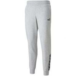 Spodnie damskie Puma Power Pants FL szare. Szare spodnie materiałowe damskie Puma, bez wzorów. Za 220.34 zł.