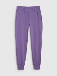 4F Spodnie sportowe w kolorze fioletowym rozmiar: XL. Różowe spodnie sportowe damskie 4f, xl, z materiału, outdoorowe. Za 109.00 zł.