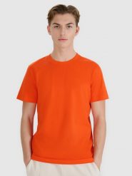 4F T-shirt regular z nadrukiem męski - pomarańczowy L. Brązowe t-shirty męskie 4f, l, bez wzorów, z bawełny, bez kołnierzyka. W wyprzedaży za 39.99 zł.