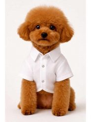 Paws&Whiskers Koszulka w kolorze białym dla psa rozmiar: S. Białe t-shirty damskie Paws&Whiskers, s, bez wzorów, bez kołnierzyka. Za 67.95 zł.
