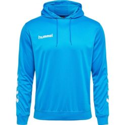Bluza do piłki ręcznej męska Hummel hml PROMO Poly z kapturem. Czerwone bluzy z kapturem męskie HUMMEL, l, z poliamidu. Za 73.00 zł.