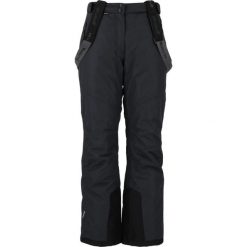 Spodnie narciarskie damskie Whistler Fairway W-PRO 10000. Czarne spodnie materiałowe damskie WHISTLER, bez wzorów, z materiału, klasyczne, z standardowym stanem. Za 224.99 zł.